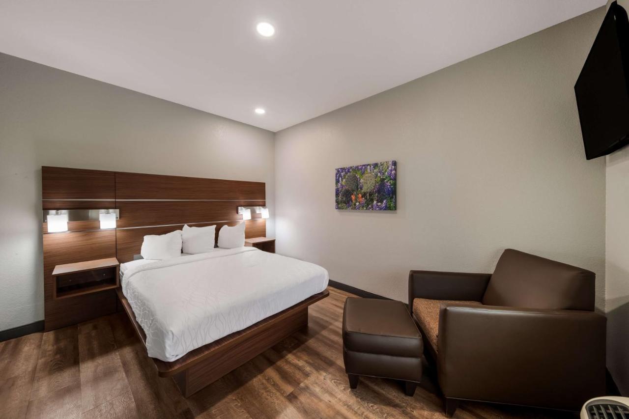 Best Western Bowie Inn & Suites Dış mekan fotoğraf
